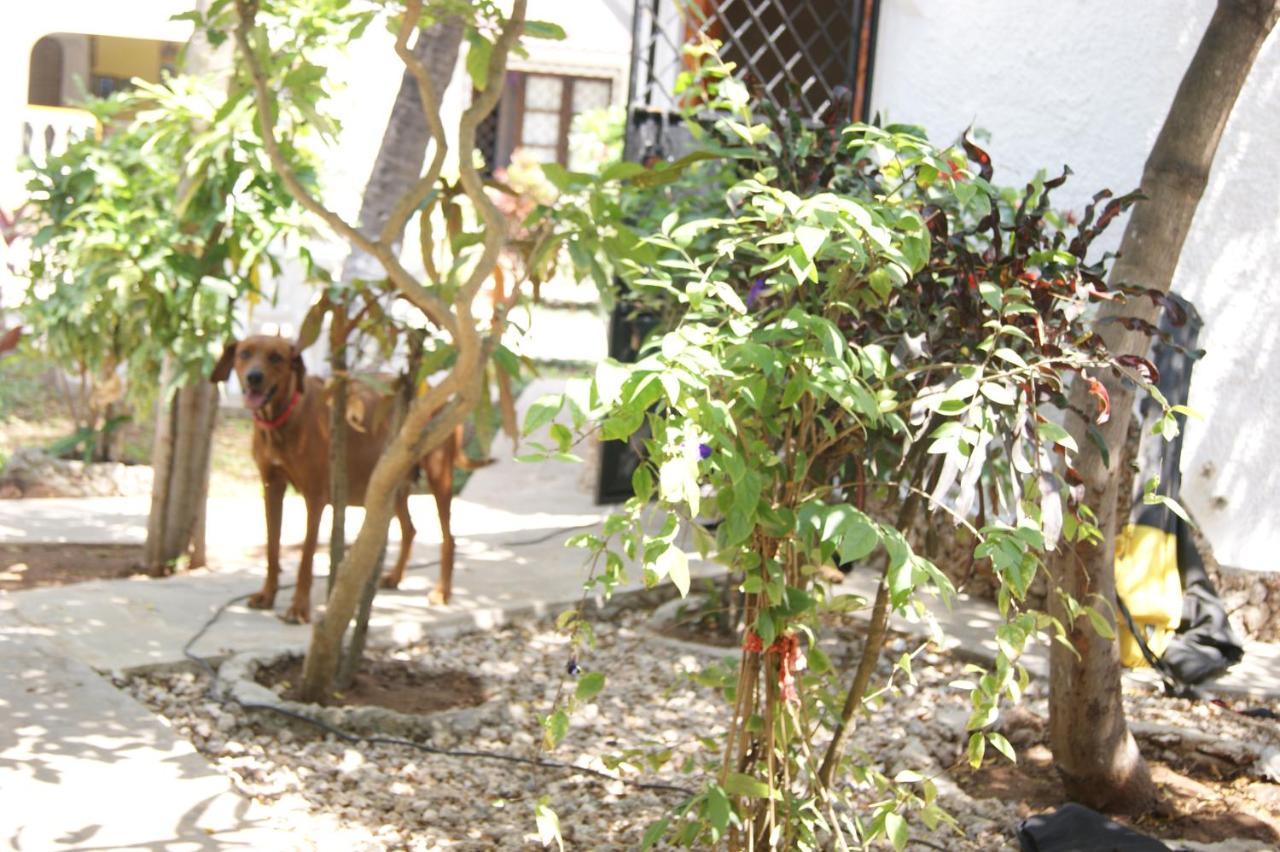 Luciano & Grace Apartments Watamu Buitenkant foto